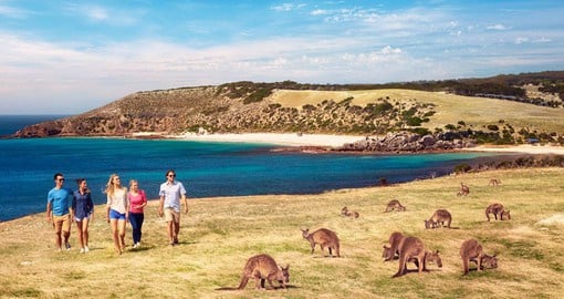 Experience the thrill of living with Australian wildlife at Kangaroo Island - one of the world's great nature-based destinations
