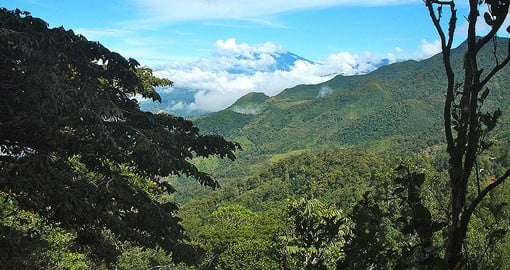 The misty hills of Boquete in the Panamanian highlands