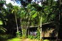 Heritage Lodge In The Daintree