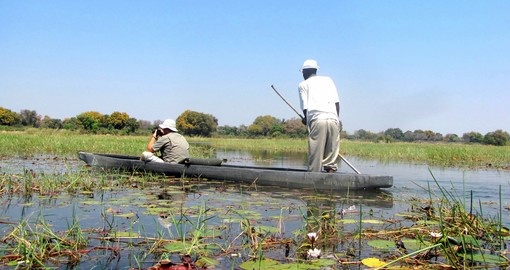 Moroko boat sailing through the Okavango