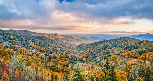 Venture through the stunning peaks of the Great Smokey Mountains