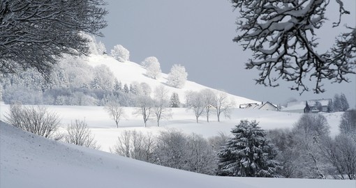 Winter day in Schwarzwald