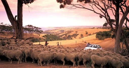 You might need directions when you drive on the rural ares of the Australia.
