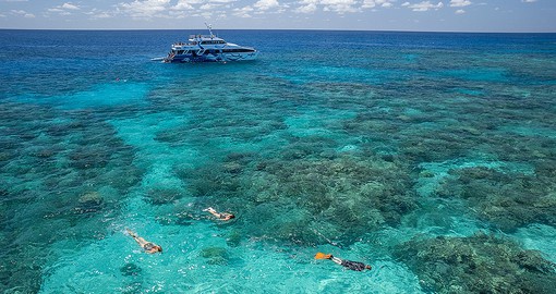Spend a day discovering the unique marine life of Australia's Great Barrier Reef