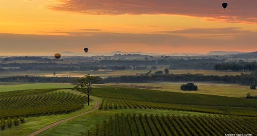 Hunter Valley landscape at sunset with hot air balloons