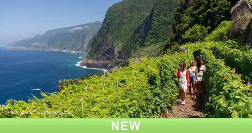 Enjoy the lush landscapes in Madeira.