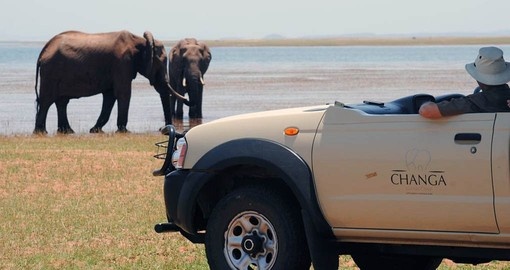 Enjoy game drives from Changa on your Zimbabwe safari