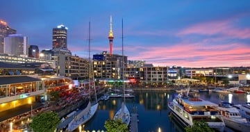 new zealand trips for singles