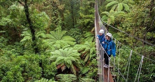 Zip through the canopy on your New Zealand vacation