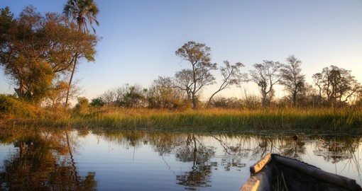 Panorama of Okavango delta from makoro boat