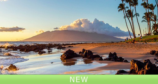 Discover your perfect beach on Maui