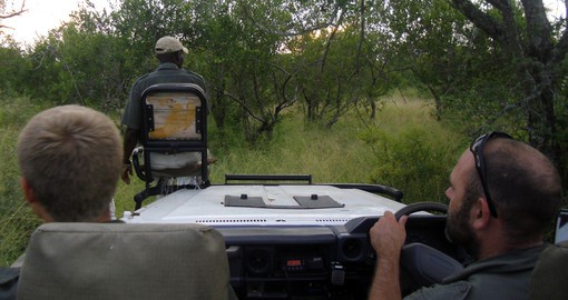 Trek through the grasses and roads of Game Reserves