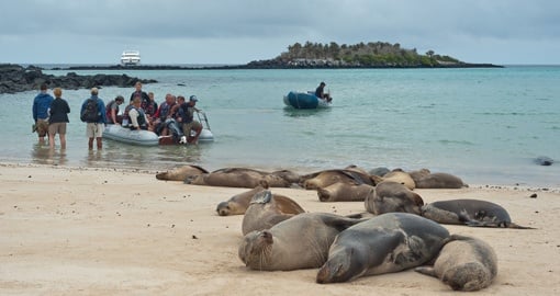 Catch of glimpse of daily life in the Galapagos on your Ecuador Vacation