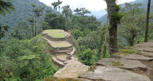 Explore the ruins of the Lost City on your Colombia Tour