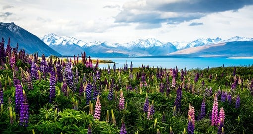 Discover New Zealand's breathtaking alpine scenery