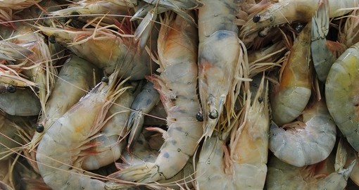 Prawns - Shrimp at the main fish market