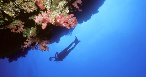 Underwater wall in the Fiji Islands