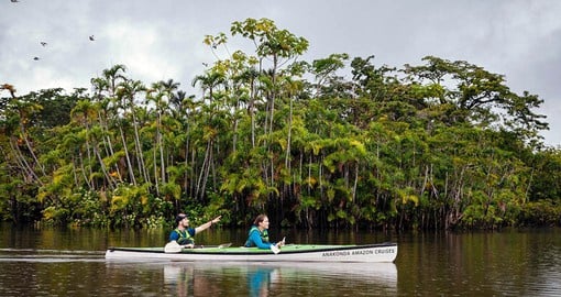 Ecuador's Amazon Rainforest is home to truly astounding biodiversity, with over 1400 various species