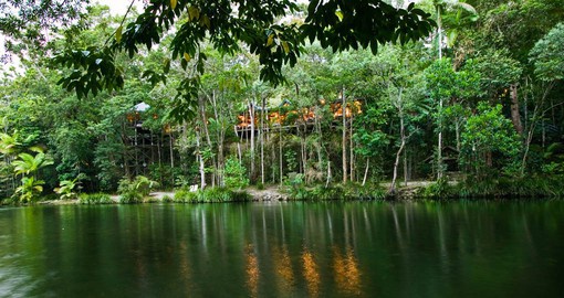 Kick back and relax at the peaceful Silky Oaks Lodge immersed in the Daintree Rainforest on your tour to Australia