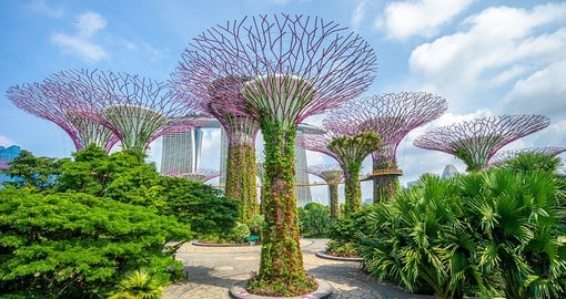 Commune with nature in the Gardens by the Bay, a unique display of nature at its finest