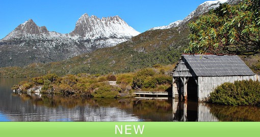 The natural beauty, diverse wildlife and art scene make Tasmania a must visit destination
