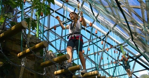 Experience the Cairns Zoom & Wildlife Dome on your Australia Vacation
