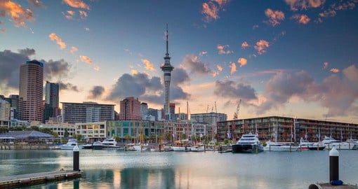 Experience local culture in the harbourside city of Auckland during your next trip to New Zealand.