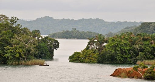 Tour the man-made Gatun Lake, responsible for providing Panama City and Colon drinking water
