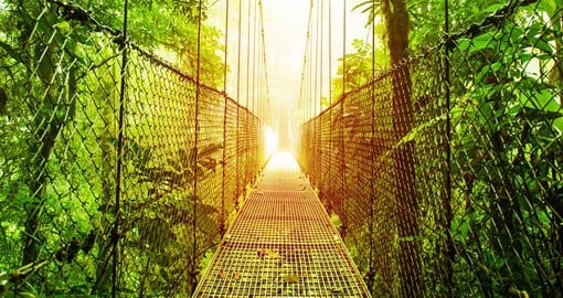Experience the rainforest from a bird's point of view while crossing the Arenal Hanging Bridges