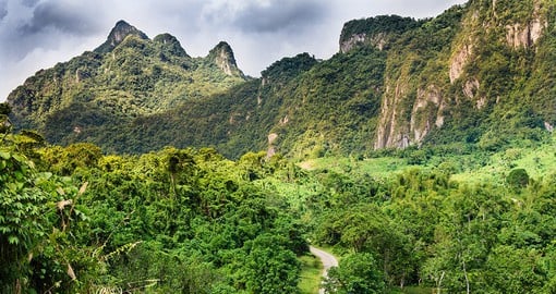Wander the lush forests of the island to explore a stunning natural sight