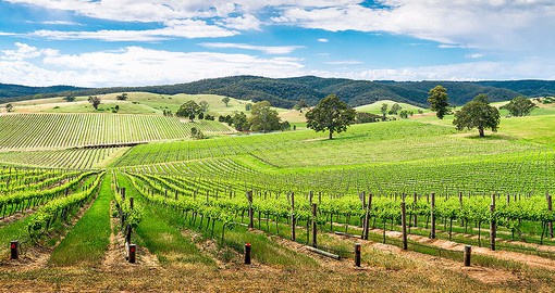 Featuring more then 150 wineries, the Barossa Valley is one of the world's great wine producing areas