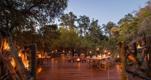 The classic African safari experience at Camp Moremi