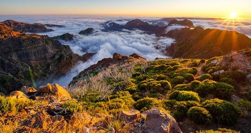 Lace up the hiking boots and take a walk up to Pico Ruivo, the highest point on Madeira Island