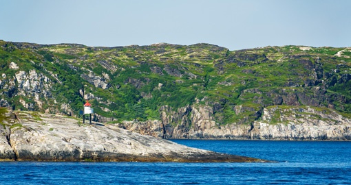 Hornoya Island is one of Norway’s largest nesting sites with 150,000 birds