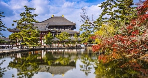 Visit the Todaiji Temple in Nara on your Japan Tours