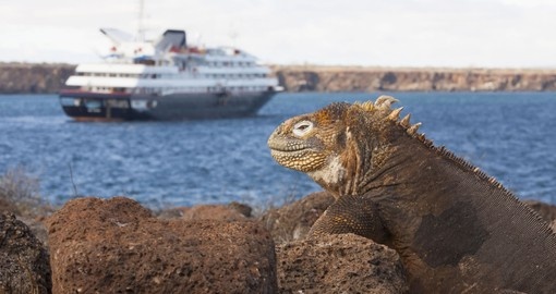 Silversea Galapagos Cruise trip