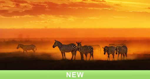 Admire the natural glow of the savannah sunset