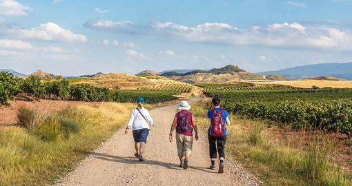 Walking the Camino de Santiago vinyards, Spain