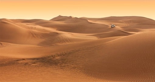 Experience the thrilling and scenic adventure while riding the dunes during the Sunset Desert Safari