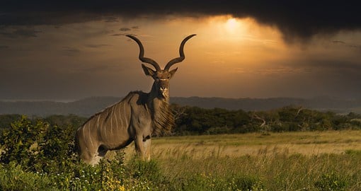 Zimbabwe boasts some of the largest National Parks in Africa