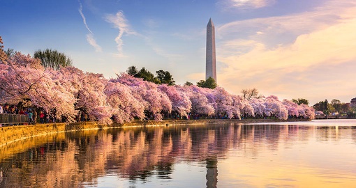 View of the Washington Monument in the springtime