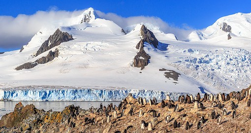 Covering 522,000 square kilometres, the Antarctic Peninsula is the northernmost part  of the continent