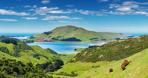 On your New Zealand Vacation tour the beautiful Otago Peninsula