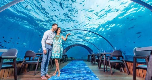 Dine at the world’s largest undersea restaurant