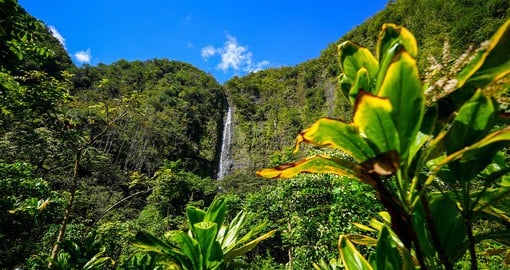 Have a camera at the ready when hiking through the lush forests and waterfalls of East Maui