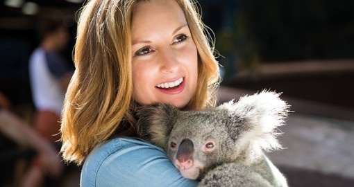 Explore Animal encounters at Australia Zoo