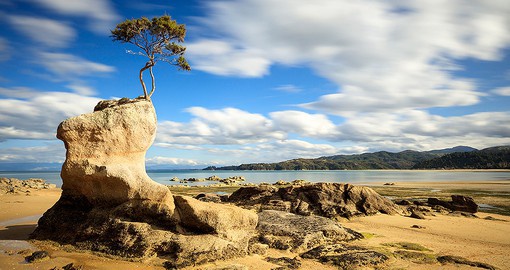 Explore Abel Tasman National Park on your next New Zealand tours.