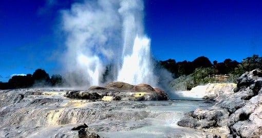 Discover New Zealand's geothermal wonders at Rotorua