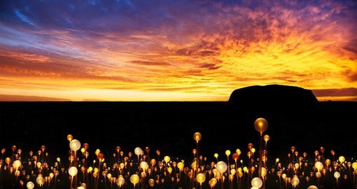 Uluru Field of Light