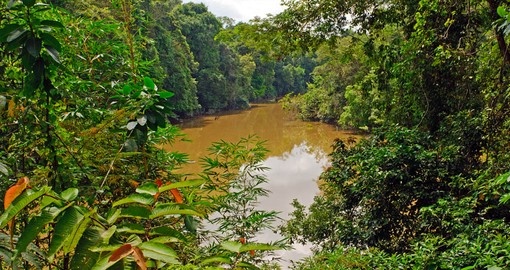 Cruise the amazing Amazon Jungle on your next trip to Peru
